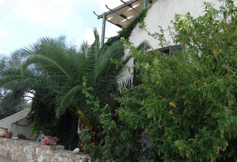 استودیوی سوپریور, Avra Milos