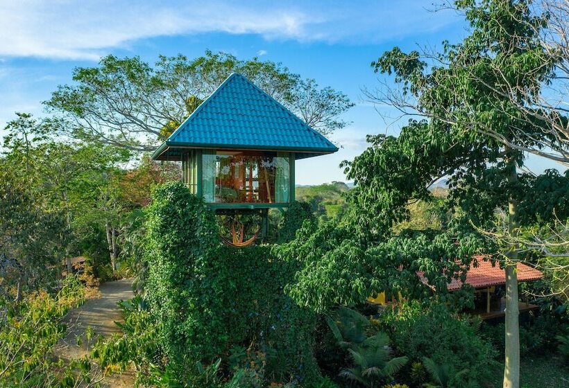 خانه 1 خوابه, Anamaya
