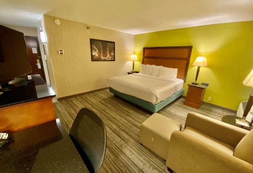 اتاق استاندارد با تخت بزرگ, Best Western Plus Houston Energy Corridor