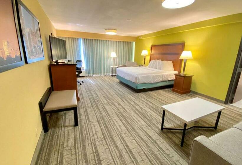 اتاق استاندارد با تخت بزرگ, Best Western Plus Houston Energy Corridor