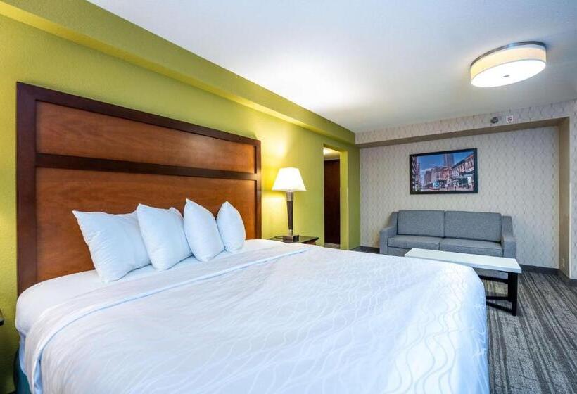 Chambre Standard Lit King Size, Best Western Plus Houston Energy Corridor