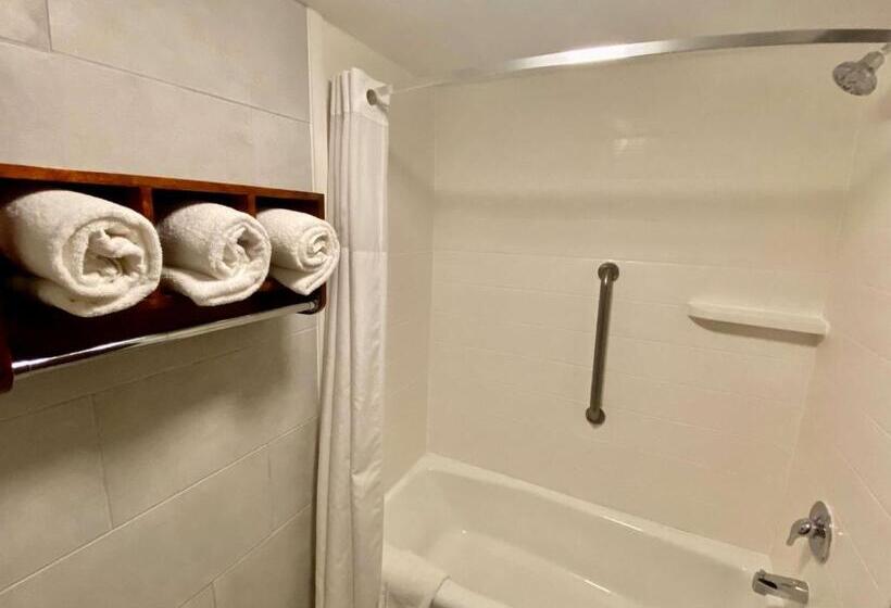 سوئیت با تخت بزرگ, Best Western Plus Houston Energy Corridor