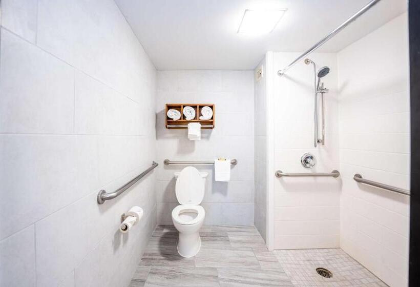 اتاق استاندارد با تخت بزرگ برای معلولان, Best Western Plus Houston Energy Corridor