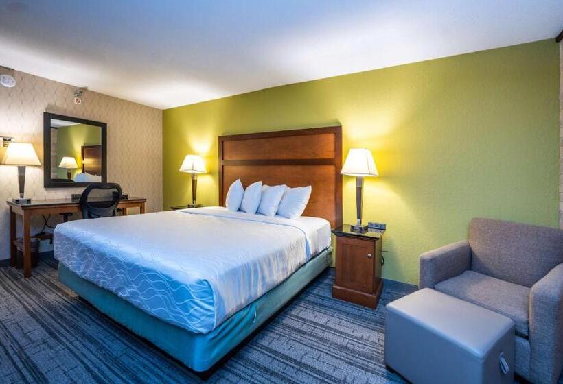 Quarto Standard Cama King para Deficientes, Best Western Plus Houston Energy Corridor