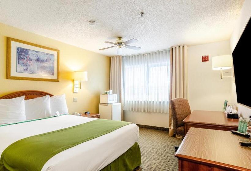 سوئیت با تخت بزرگ, Cheyenne Guest Inn