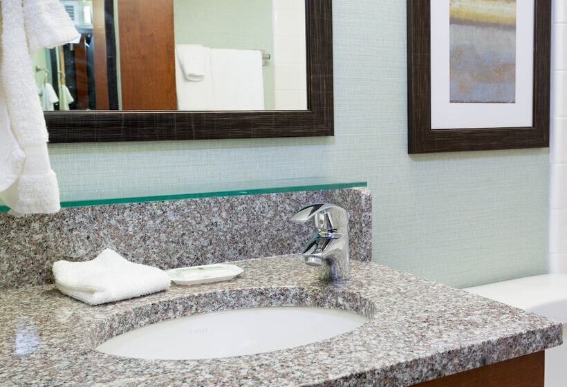 Deluxe Room Adapted for people with reduced mobility, Drury Inn & Suites Atlanta Morrow