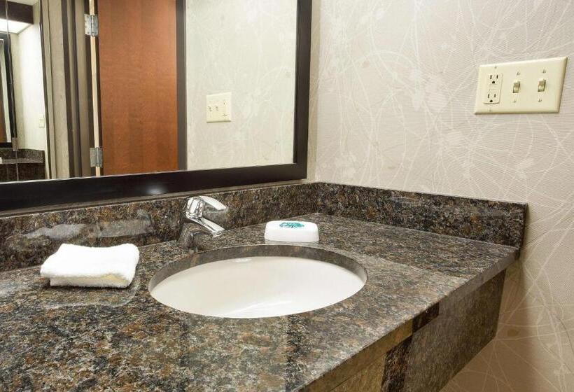 Deluxe Room Adapted for people with reduced mobility, Drury Inn & Suites Greensboro