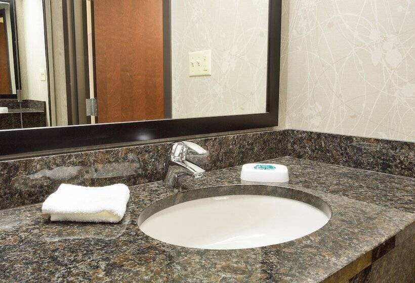 اتاق لوکس, Drury Inn & Suites Greensboro