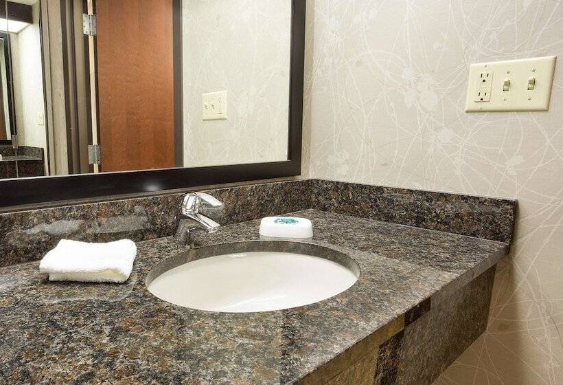 اتاق دلوکس مخصوص معلولین, Drury Inn & Suites Greensboro
