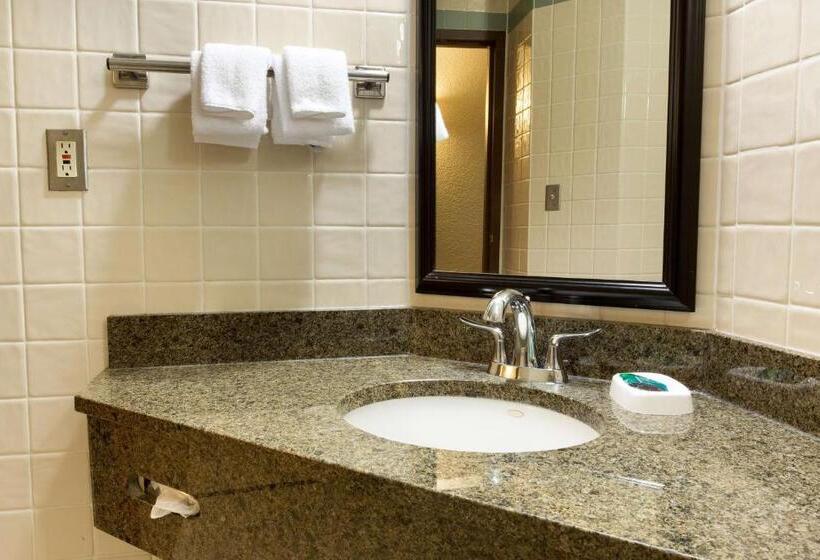 Suite Adaptada para personas con movilidad reducida, Drury Inn & Suites San Antonio Riverwalk