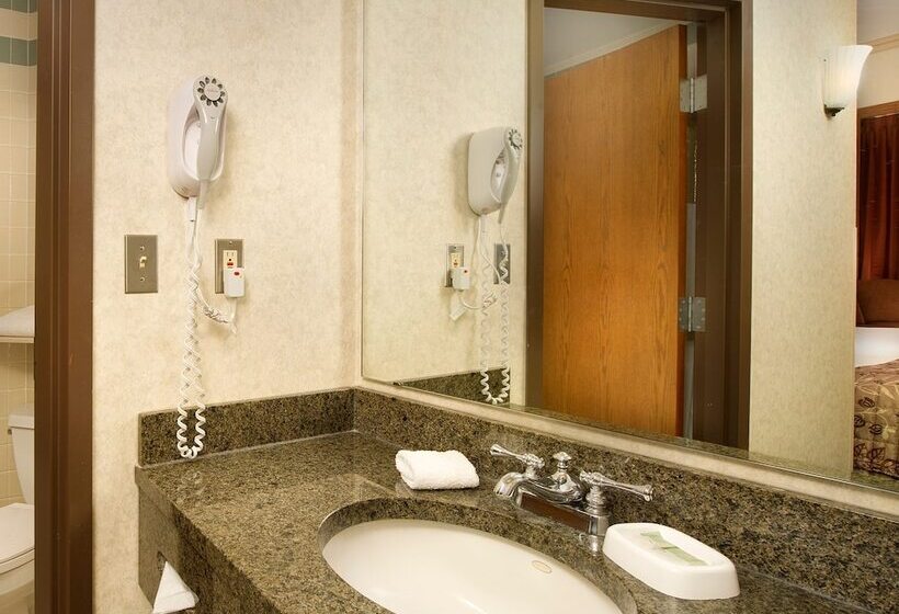 Chambre Deluxe, Drury Inn & Suites San Antonio Riverwalk