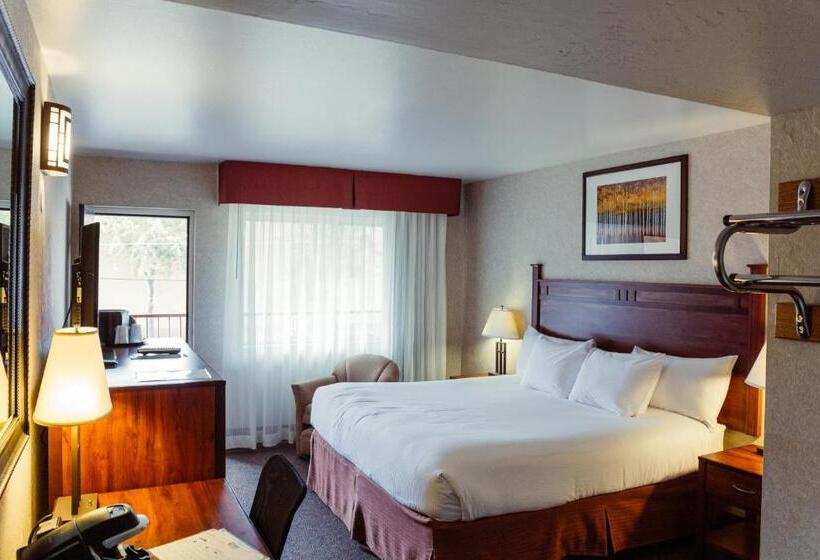 اتاق استاندارد با تخت بزرگ, The Durango Lodge