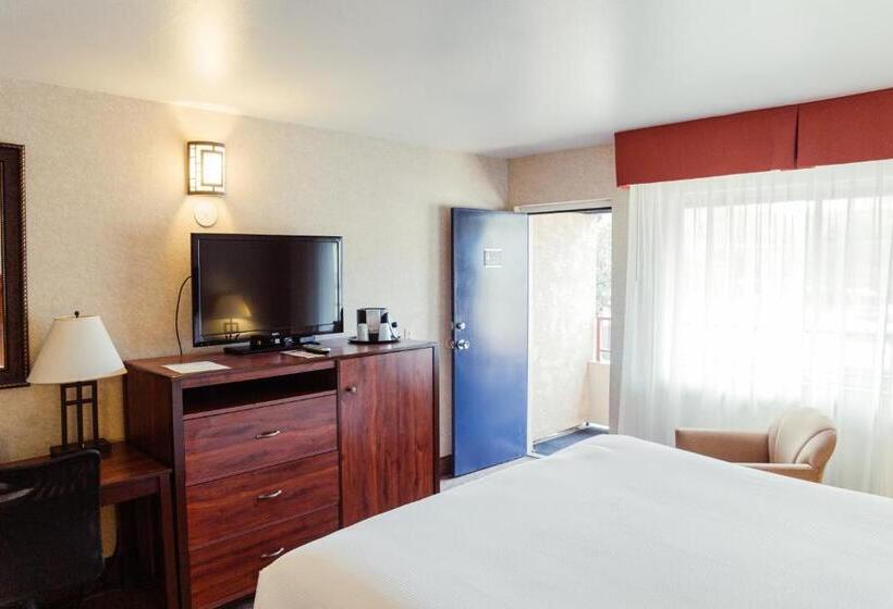 اتاق استاندارد با تخت بزرگ, The Durango Lodge