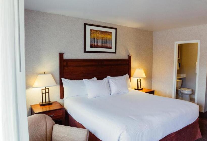 اتاق استاندارد با تخت بزرگ, The Durango Lodge