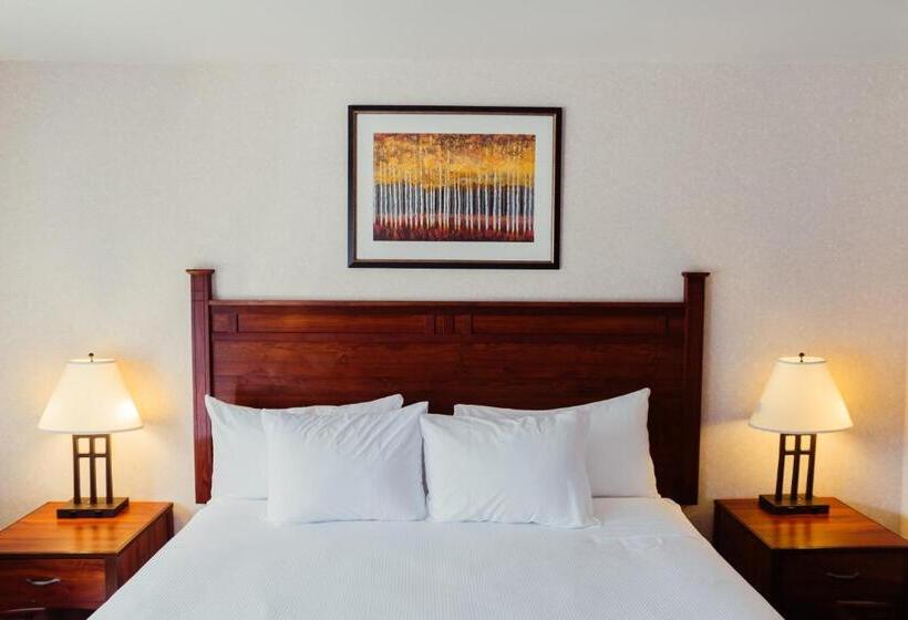 اتاق استاندارد با تخت بزرگ, The Durango Lodge