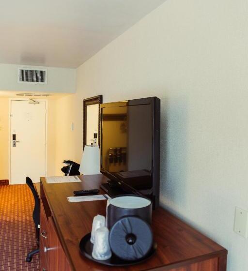 اتاق استاندارد با تخت بزرگ, The Durango Lodge