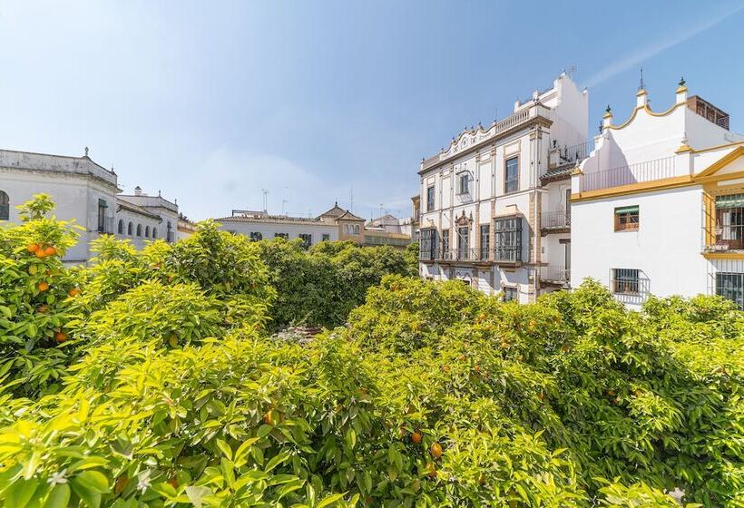 اتاق رمانتیک, Rey Don Pedro Luxury Home