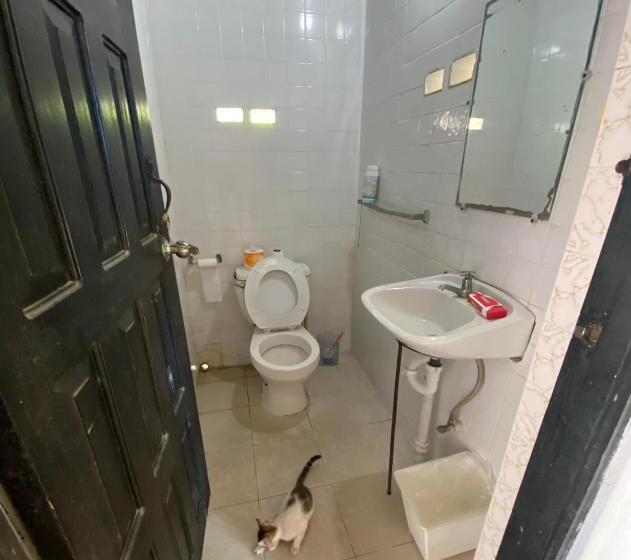 اتاق اکونومی, Westport Cottage