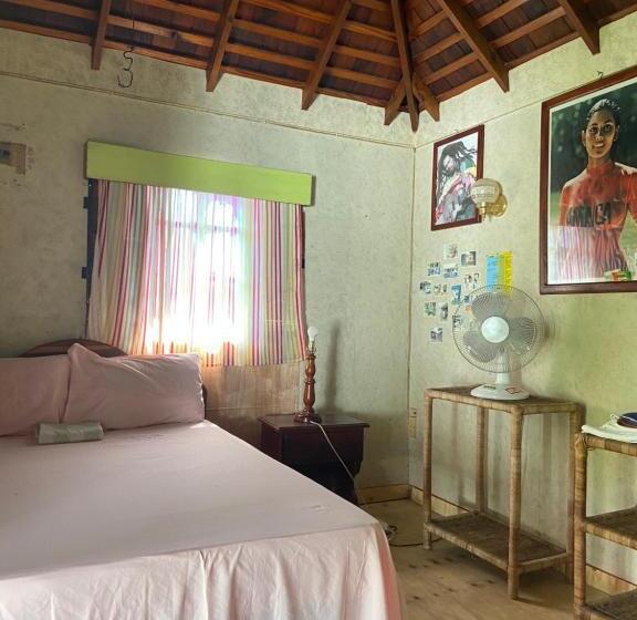 اتاق اکونومی, Westport Cottage
