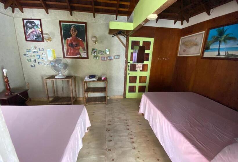 اتاق اکونومی, Westport Cottage