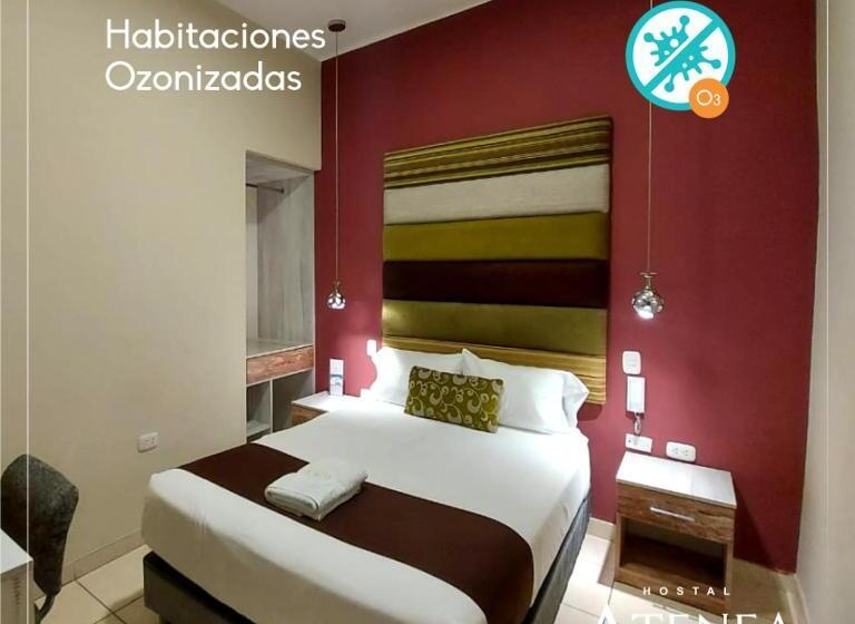 غرفة قياسية فردية, Hostal Atenea