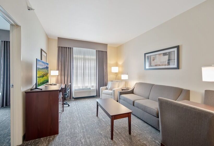 سوییت, Cobblestone Hotel & Suites   Austin