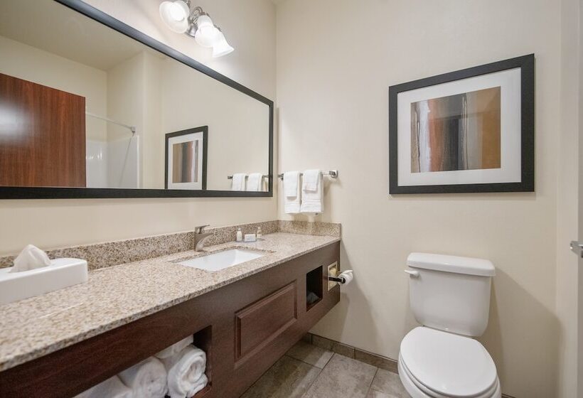 استودیوی استاندارد, Cobblestone Hotel & Suites   Austin