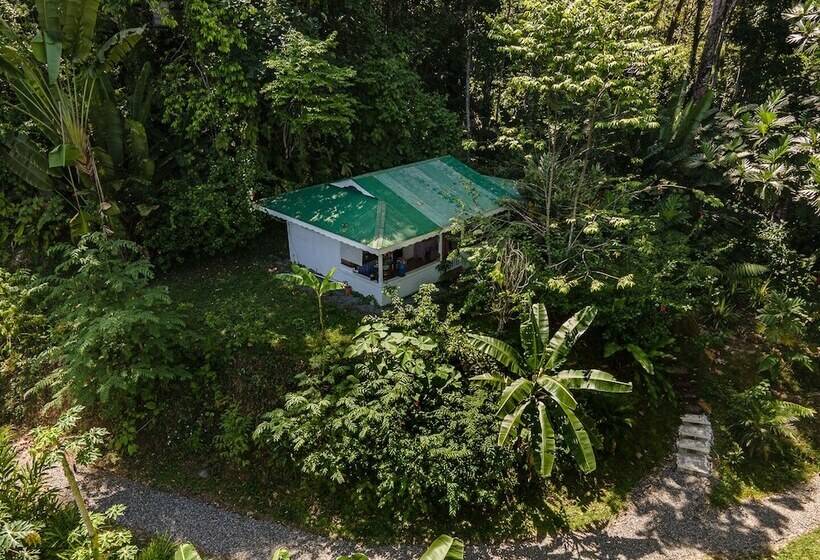 ویلای 1 خوابه, Colina Secreta   Glamping And Villas