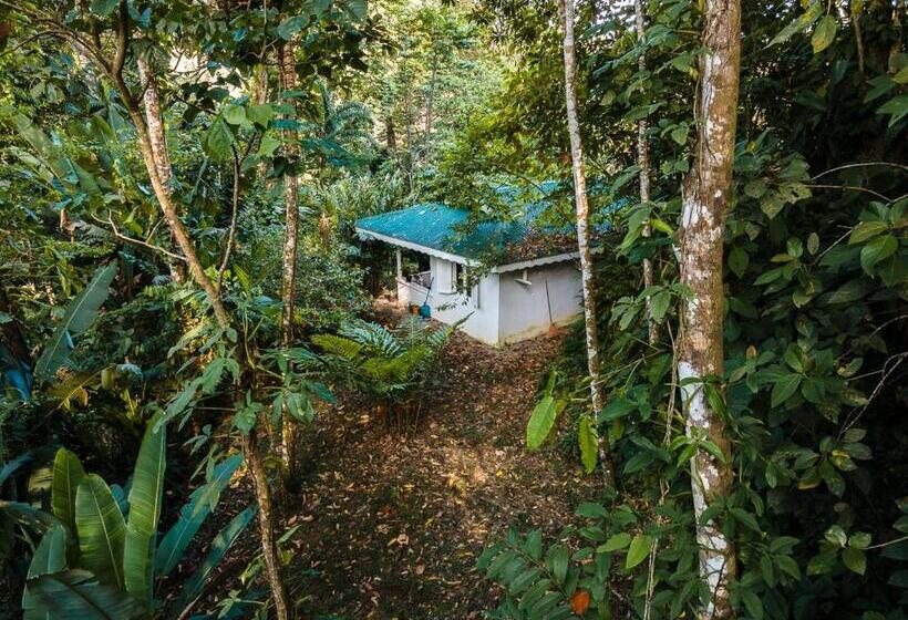 ویلای 1 خوابه, Colina Secreta   Glamping And Villas