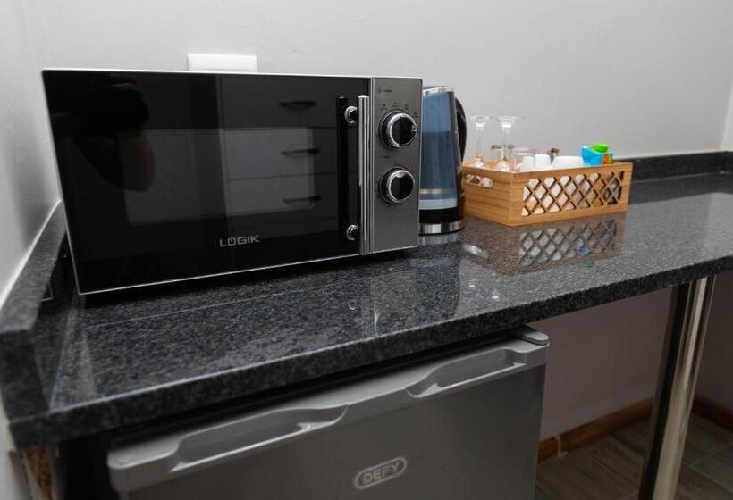 اتاق استاندارد با تخت بزرگ, Opstal Gastehuis