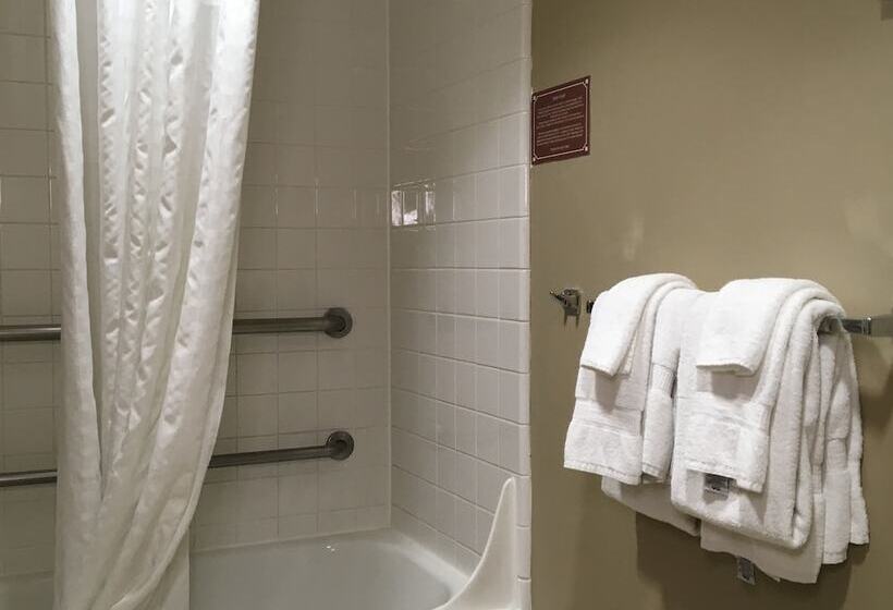 اتاق استاندارد با 2 تخت دوبل, Comfort Inn & Suites Near Kino Sports Complex