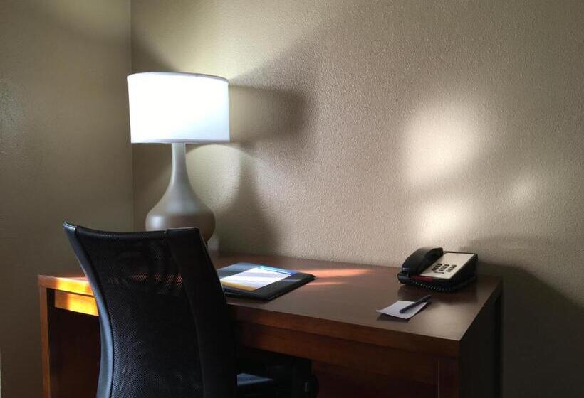 اتاق استاندارد با تخت بزرگ, Comfort Inn & Suites Near Kino Sports Complex