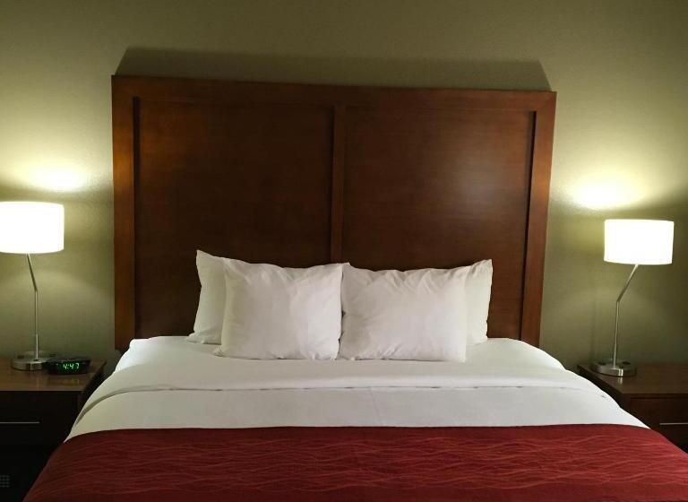 اتاق استاندارد با تخت بزرگ, Comfort Inn & Suites Near Kino Sports Complex