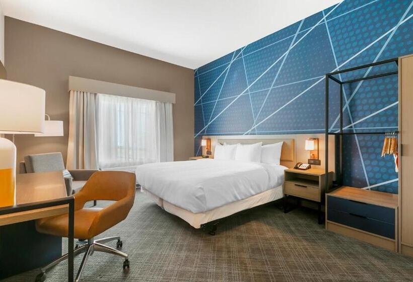 اتاق استاندارد با تخت بزرگ, Comfort Inn & Suites Houma