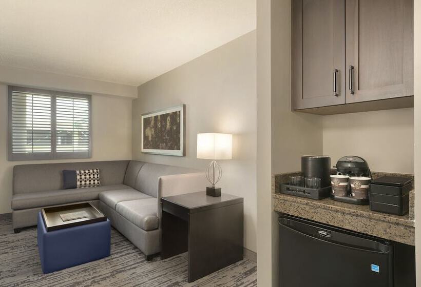 Suite, Embassy Suites By Hilton Atlanta At Centennial Olympic Park