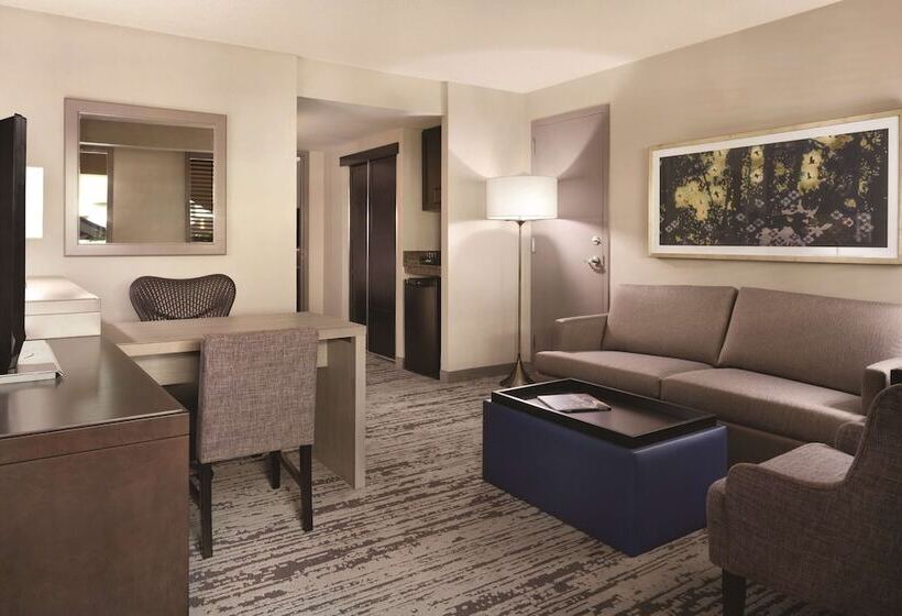 Suite, Embassy Suites By Hilton Atlanta At Centennial Olympic Park