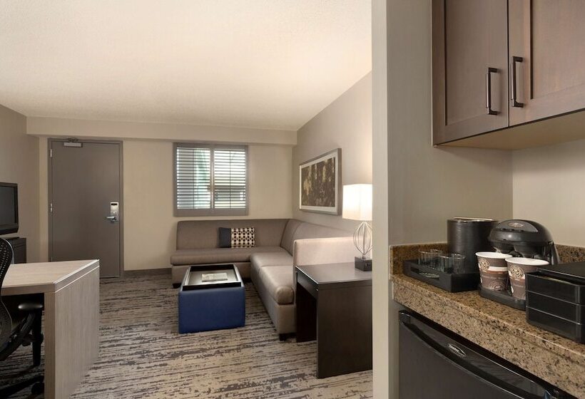 Suite, Embassy Suites By Hilton Atlanta At Centennial Olympic Park