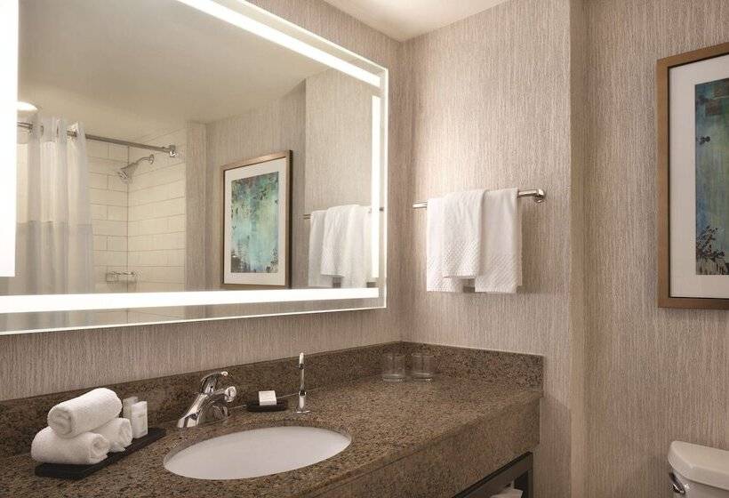 Suite para Deficientes, Embassy Suites By Hilton Atlanta At Centennial Olympic Park