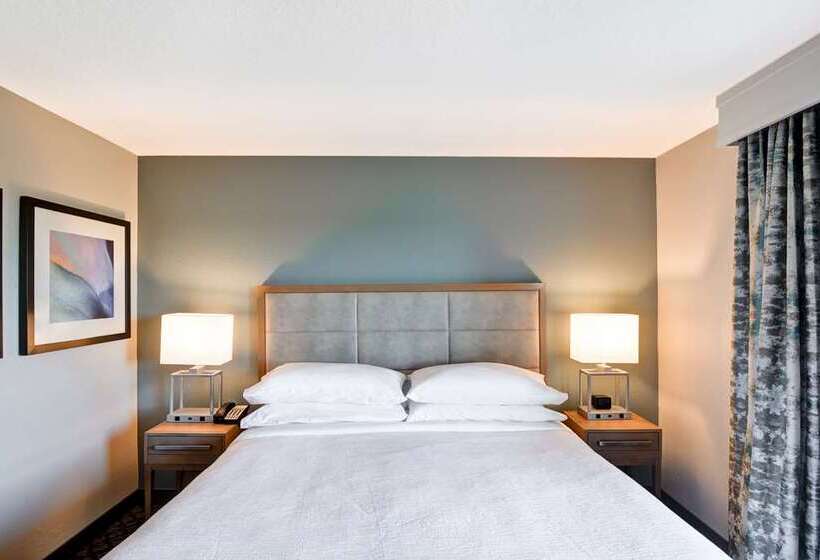 اتاق استاندارد با تخت بزرگ, Embassy Suites By Hilton Atlanta At Centennial Olympic Park