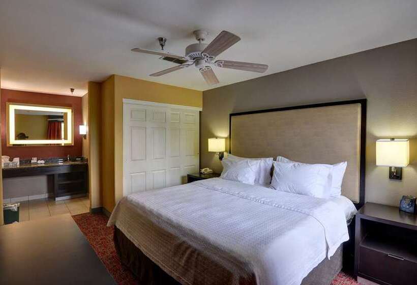 اتاق استاندارد با تخت بزرگ, Embassy Suites By Hilton Atlanta At Centennial Olympic Park