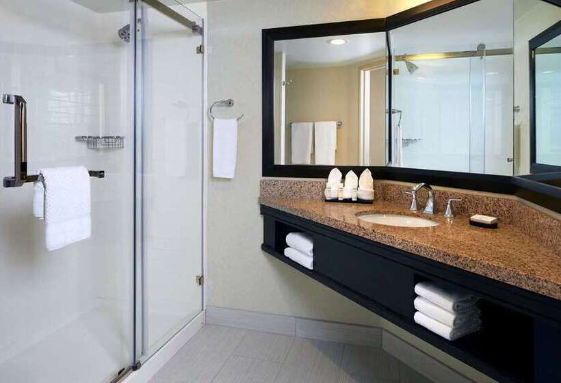 اتاق استاندارد با تخت بزرگ, Embassy Suites By Hilton Atlanta At Centennial Olympic Park