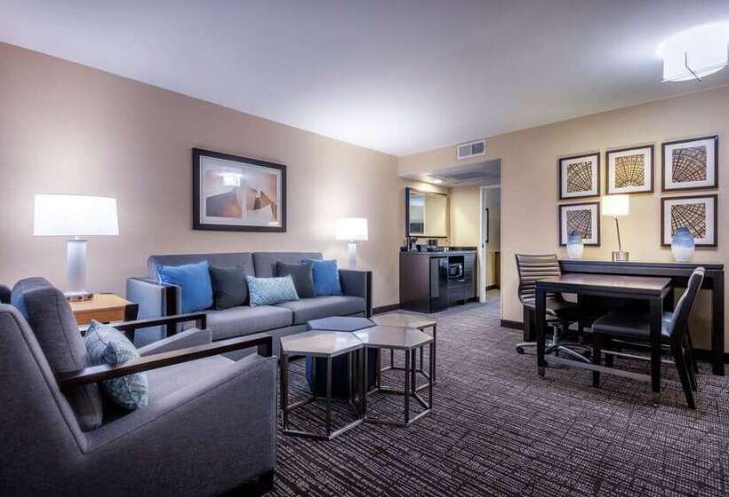 اتاق استاندارد با تخت بزرگ, Embassy Suites By Hilton Atlanta At Centennial Olympic Park