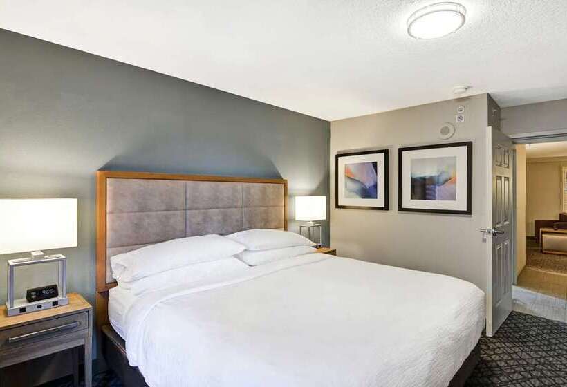 اتاق استاندارد با تخت بزرگ, Embassy Suites By Hilton Atlanta At Centennial Olympic Park