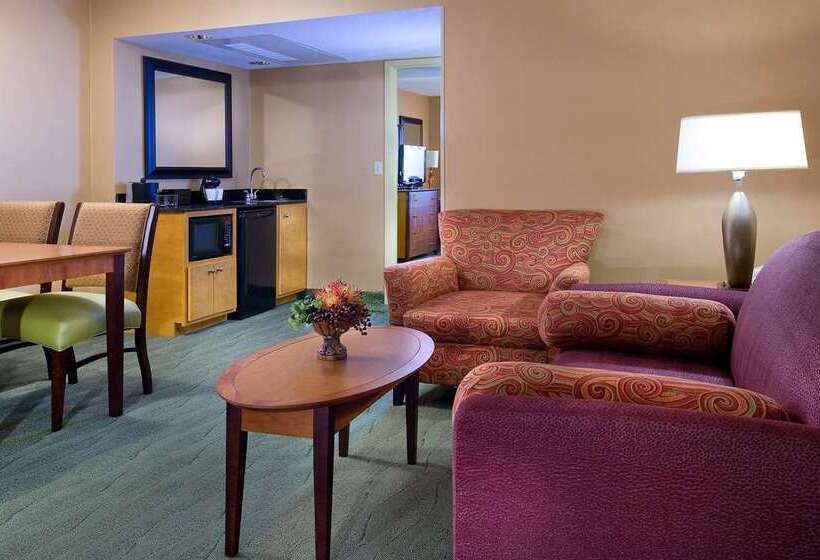 اتاق استاندارد, Embassy Suites By Hilton Atlanta At Centennial Olympic Park
