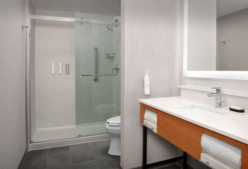 اتاق استاندارد, Embassy Suites By Hilton Atlanta At Centennial Olympic Park