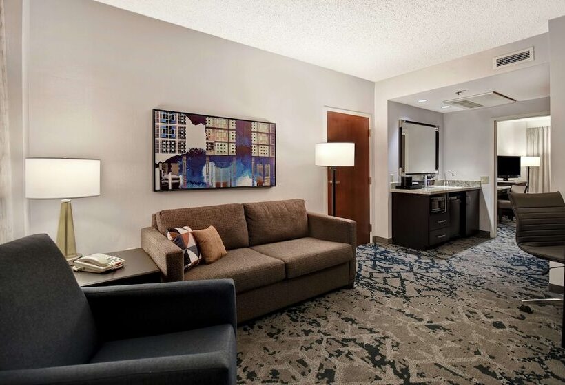 Люкс Адаптированный для Инвалидов, Embassy Suites Charleston