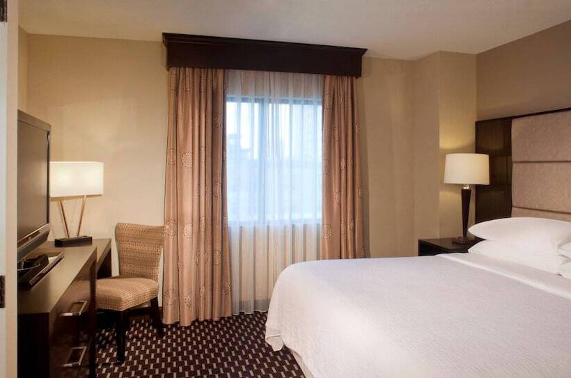 2 Bedroom Suite, Embassy Suites By Hilton Houston Near The Galleria