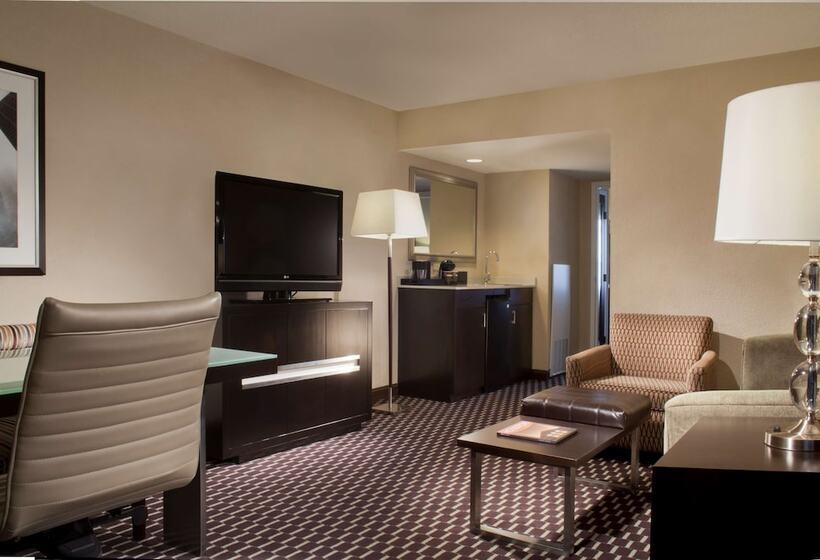 2 Bedroom Suite, Embassy Suites By Hilton Houston Near The Galleria