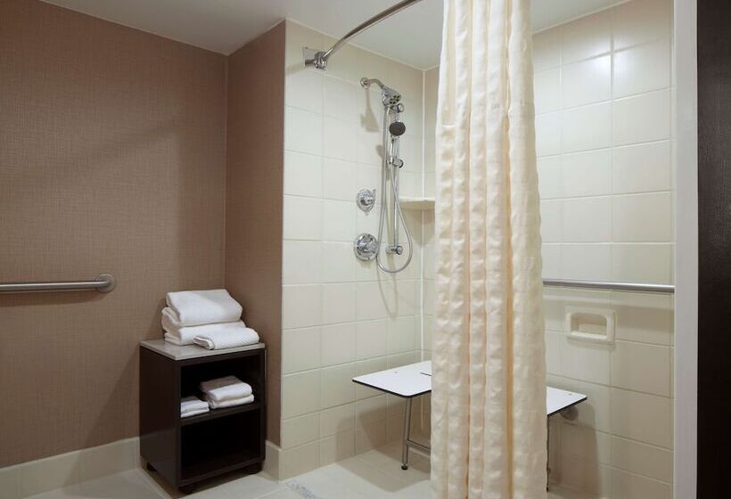 Suite Adapted for people with reduced mobility, Embassy Suites By Hilton Houston Near The Galleria