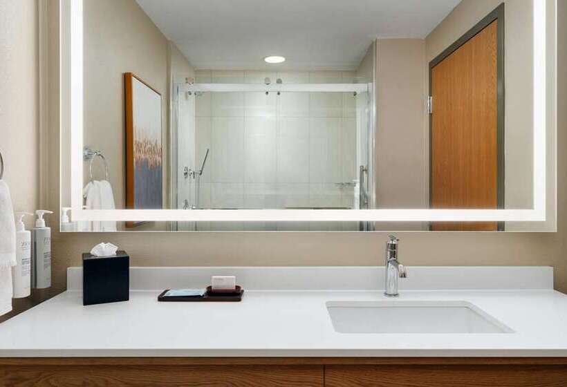 سوئیت با تخت بزرگ, Embassy Suites By Hilton Houston Near The Galleria